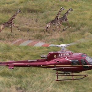 Safari Helicopter Ride