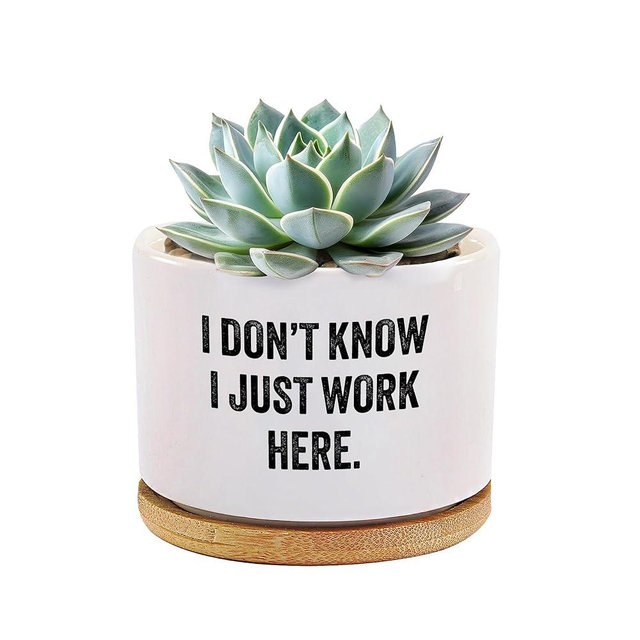 I Don’t Know I Just Work Here Ceramic Succulent Plant Pot with Bamboo Tray Round Sarcastic Gifts for Coworkers Officemates Office Gifts Home Office Decor Plant Lover 3.5 Inch White (No Plants)