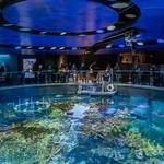 New England Aquarium