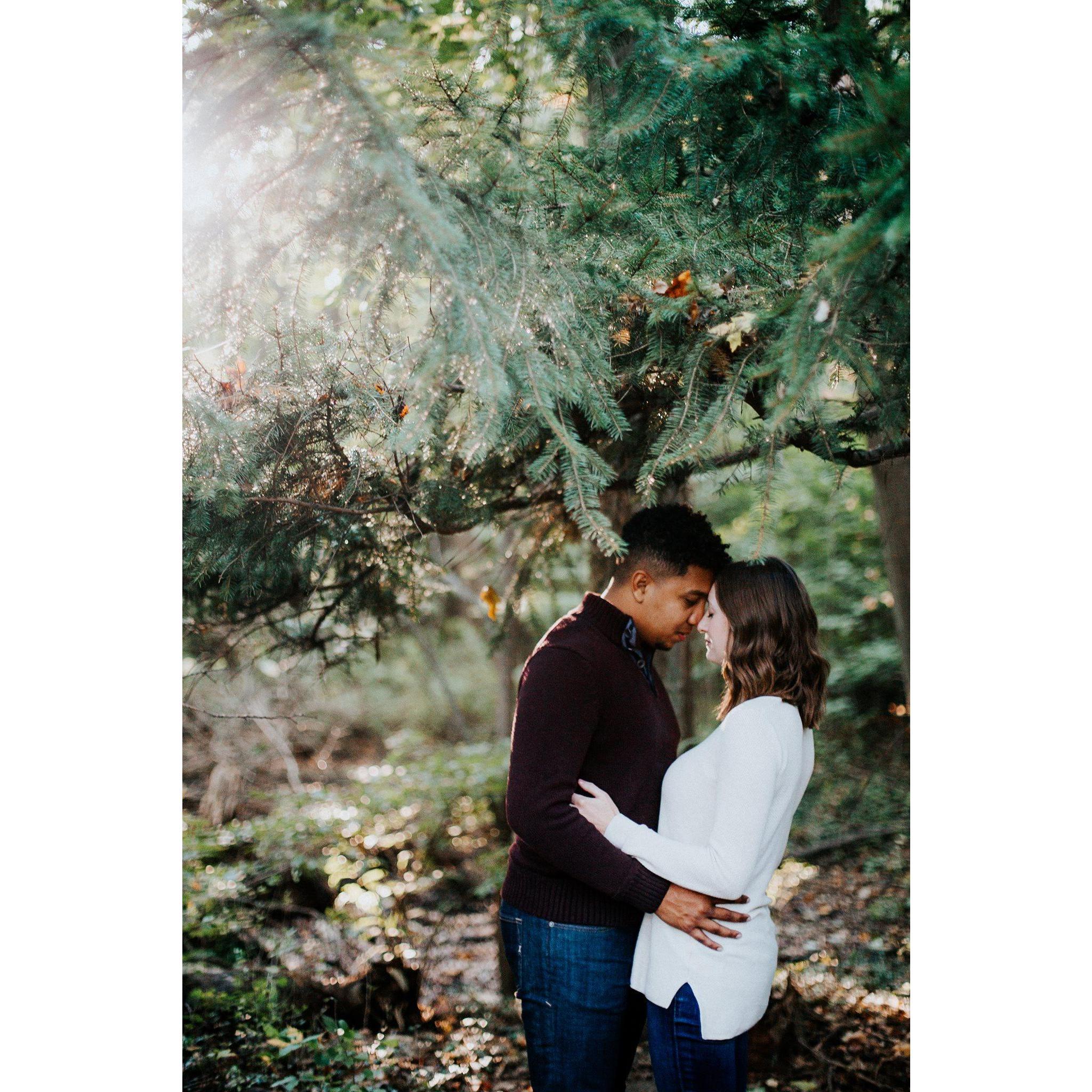 Engagement session in Warren Dunes State Park