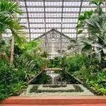 Garfield Park Conservatory - Reservations needed