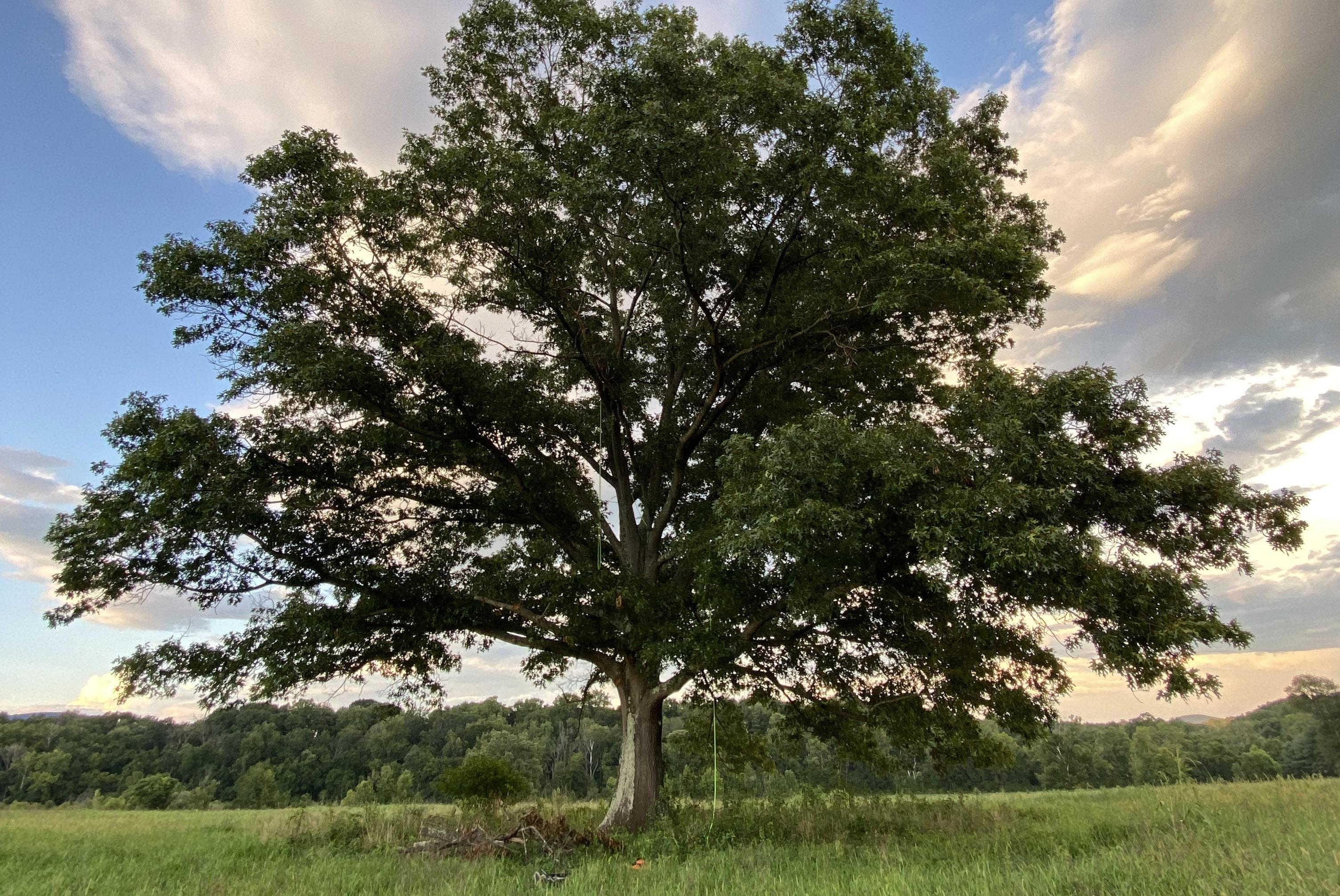 The Wedding Website of Corry Craighill and Jake Van Yahres