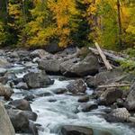 Icicle Creek Road