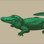 Alligator Adventure