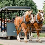 The Kentucky Horse Park