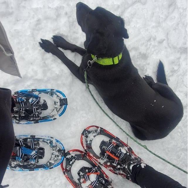 Snow shoeing adventure in McCall, ID