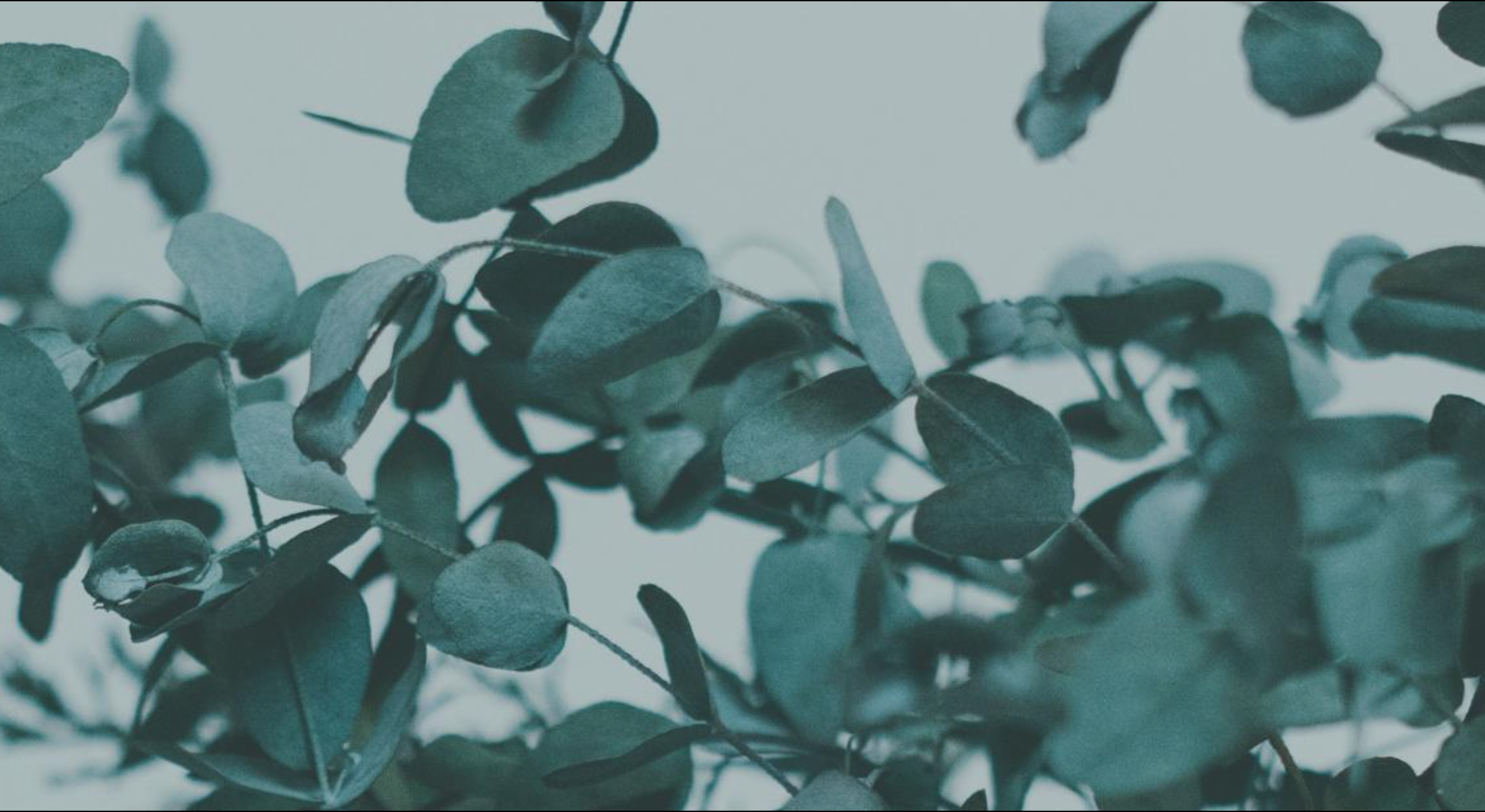 Footer image