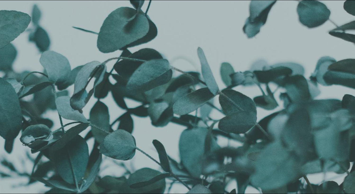 Footer image