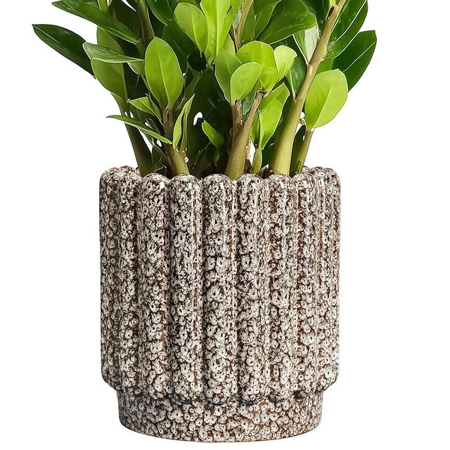 Ceramicfor Ceramic Plant Pots - 7.6 Inch Ceramic Planters with Drainage Hole, Fluted Round Planter for Indoor Plants, Decorative Flower Pots Outdoor, Desk Decor, Garden Gifts, Leopard Print White
