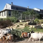 Jester King -- Brewery, Kitchen, Farm & Event Hall