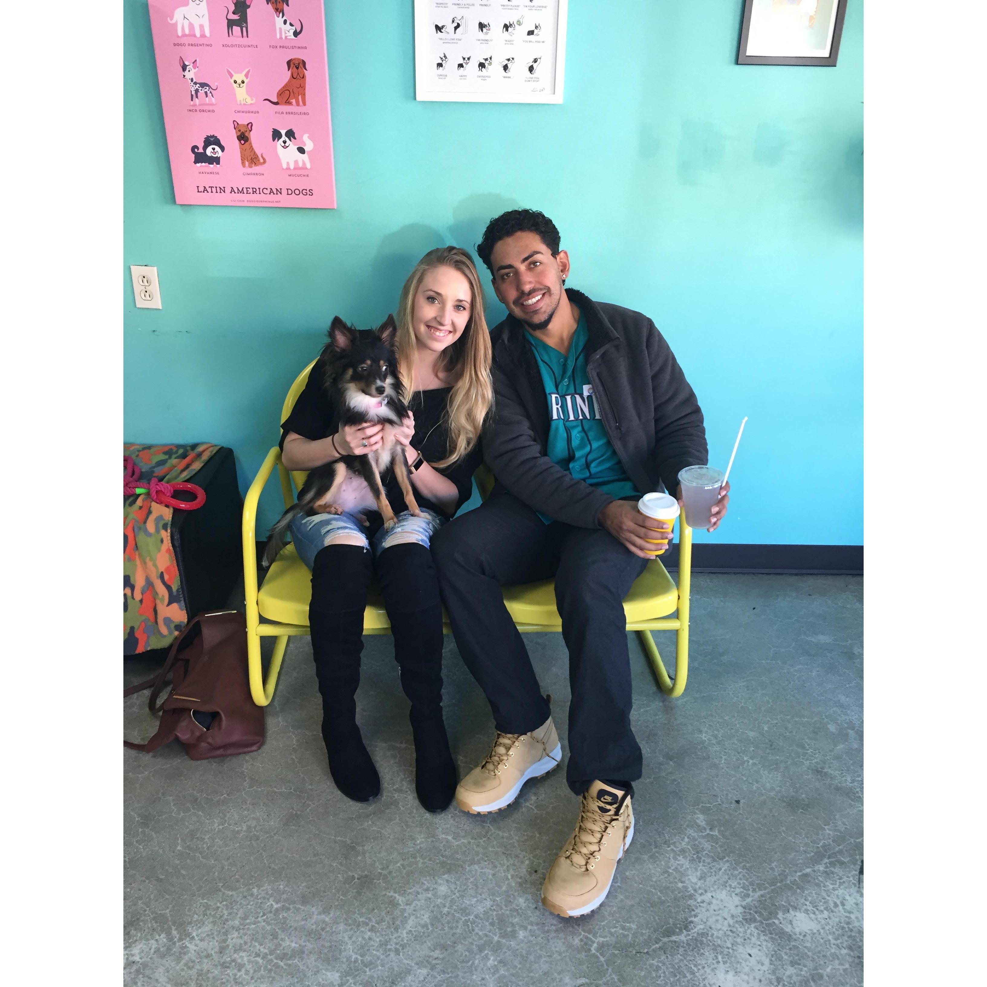 Dog cafe in Los Angeles, California. January, 2017