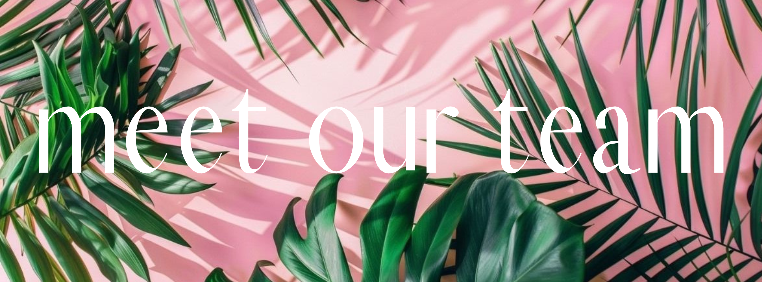 The Wedding Website of Nadine Smuts and Daniel Chadinha