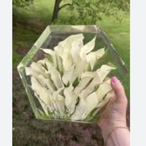 Preserved Bridal Bouquet Artwork