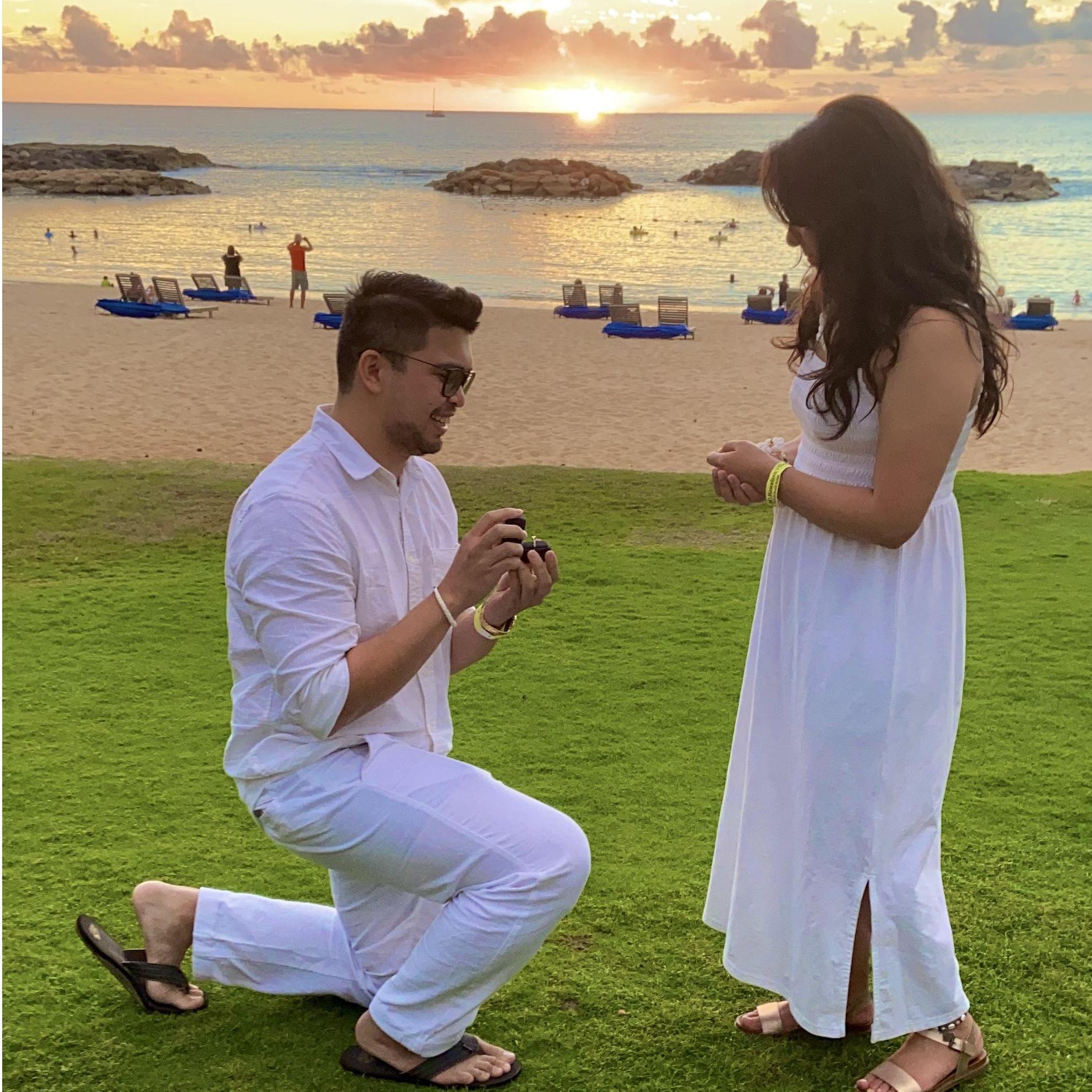 The proposal in Hawaii