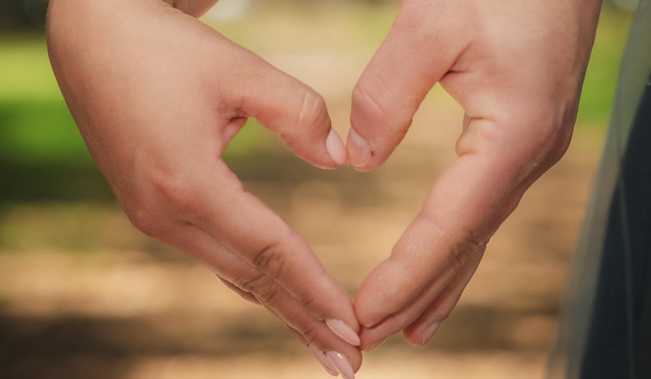 d856b1d2-9287-4a04-b369-fe54bb8ec0a0