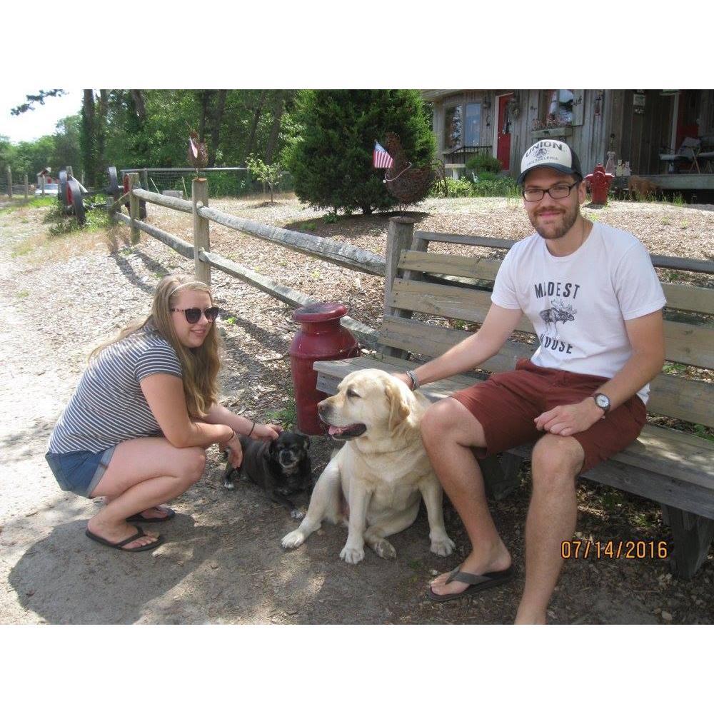 A not unusual photo- with some random puppers on Cape Cod
