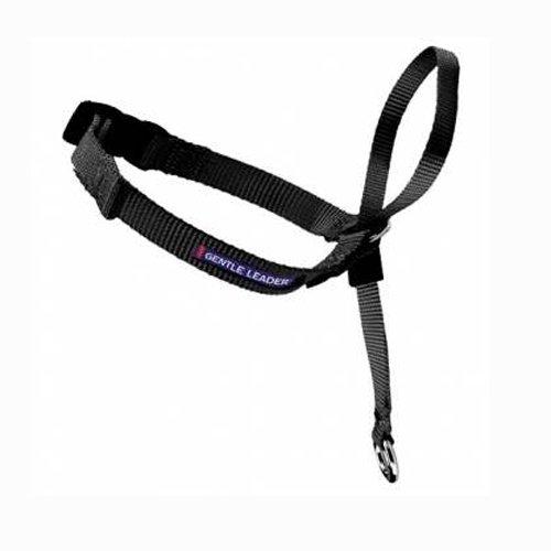 PetSafe Gentle Leader Head Collar with Training DVD, MEDIUM 25-60 LBS., BLACK