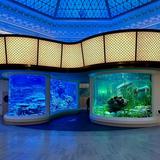 Shedd Aquarium