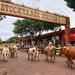 Fort Worth Stockyards Station