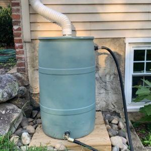 Rain Barrel