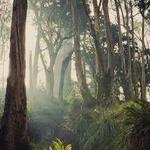 Mount Davidson Park