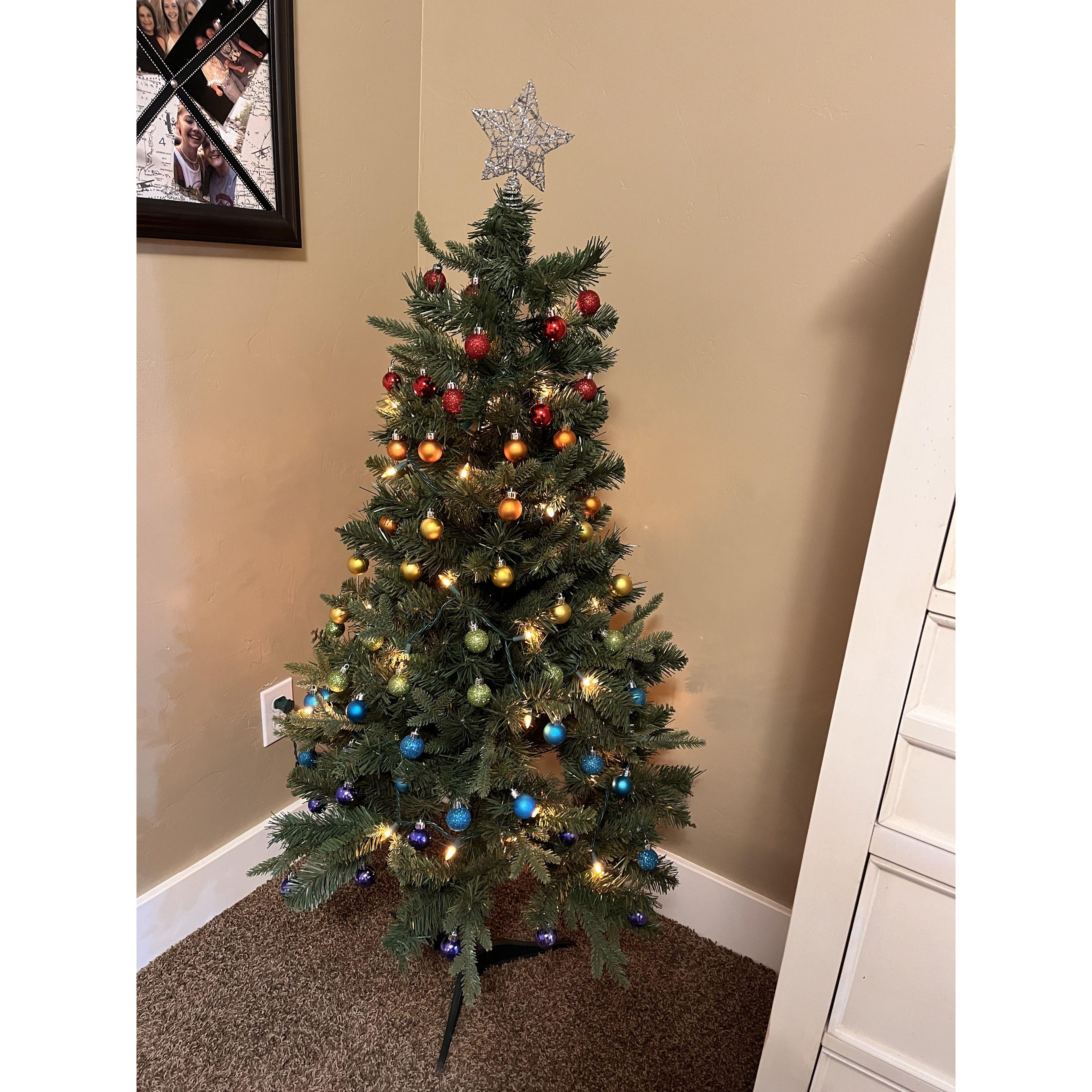 Our First Christmas Tree!