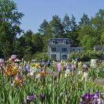Presby Iris Gardens