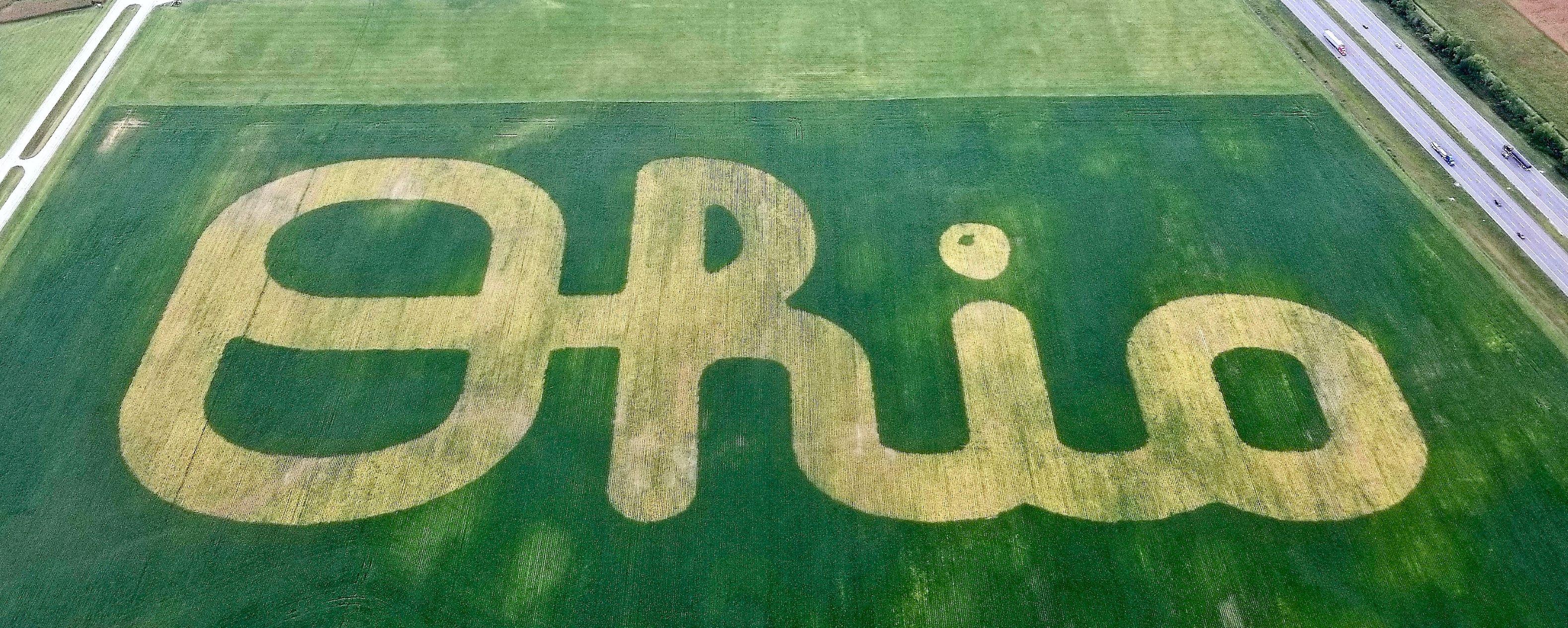 The Wedding Website of Adrian Eddy and Chris Wiegman