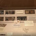 Titanic: The Artifact Exhibition