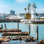 Pier 39