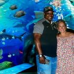 Newport Aquarium