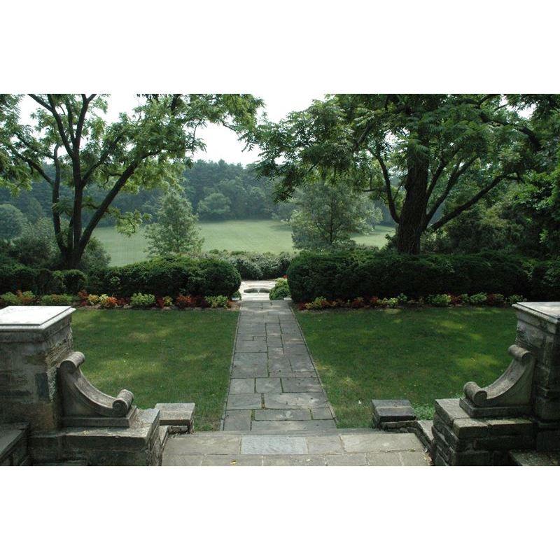 Our Ceremony Spot