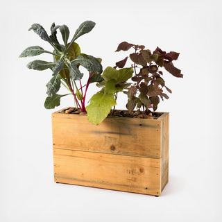 3 Pot Hydro Planter