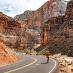 Zion Canyon Scenic Drive