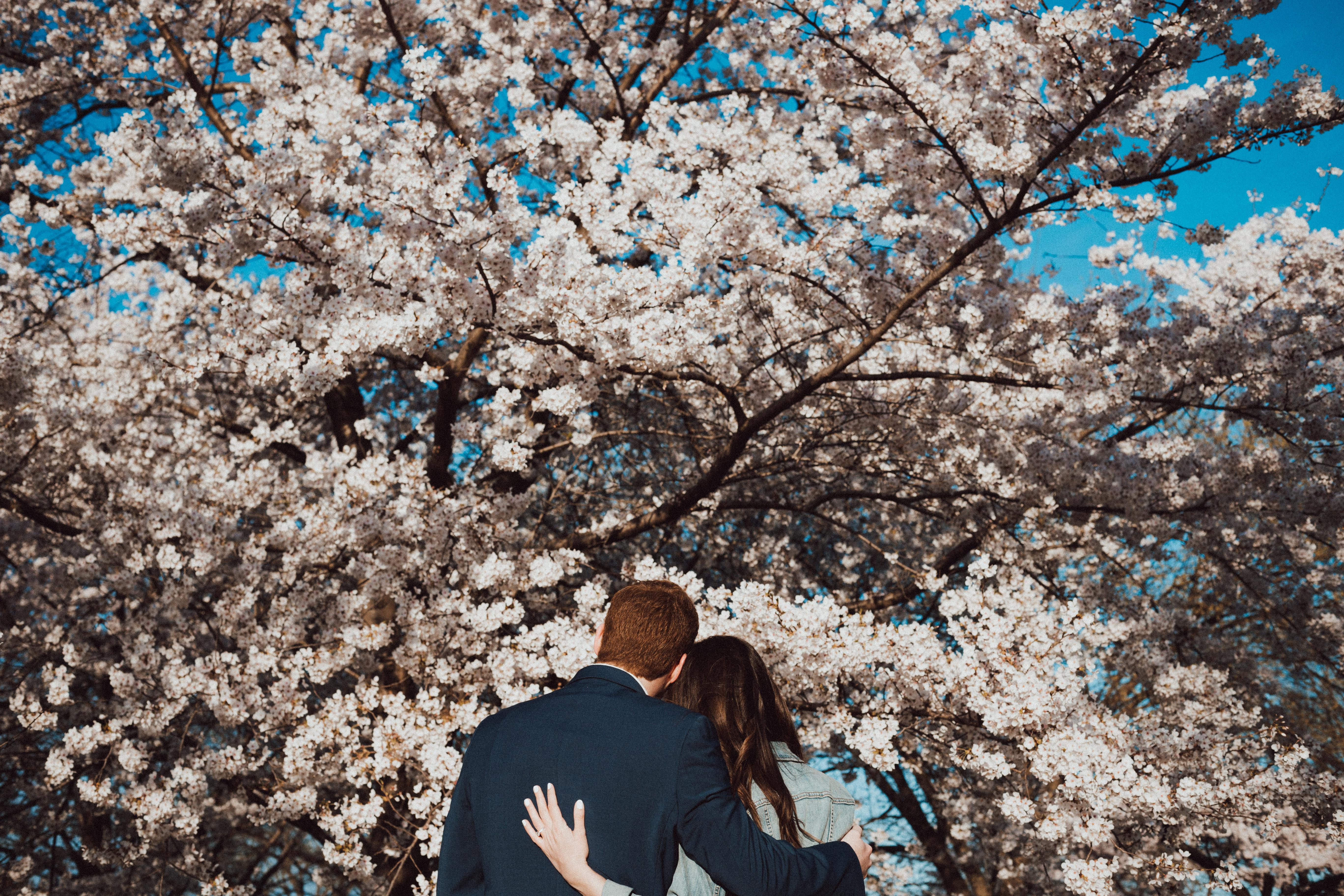 d86b7dae-4236-48a2-82bc-08fd4f0ee9d5