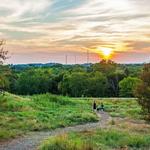 Arbor Hills Nature Preserve