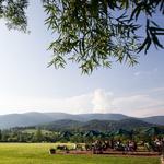 King Family Vineyards