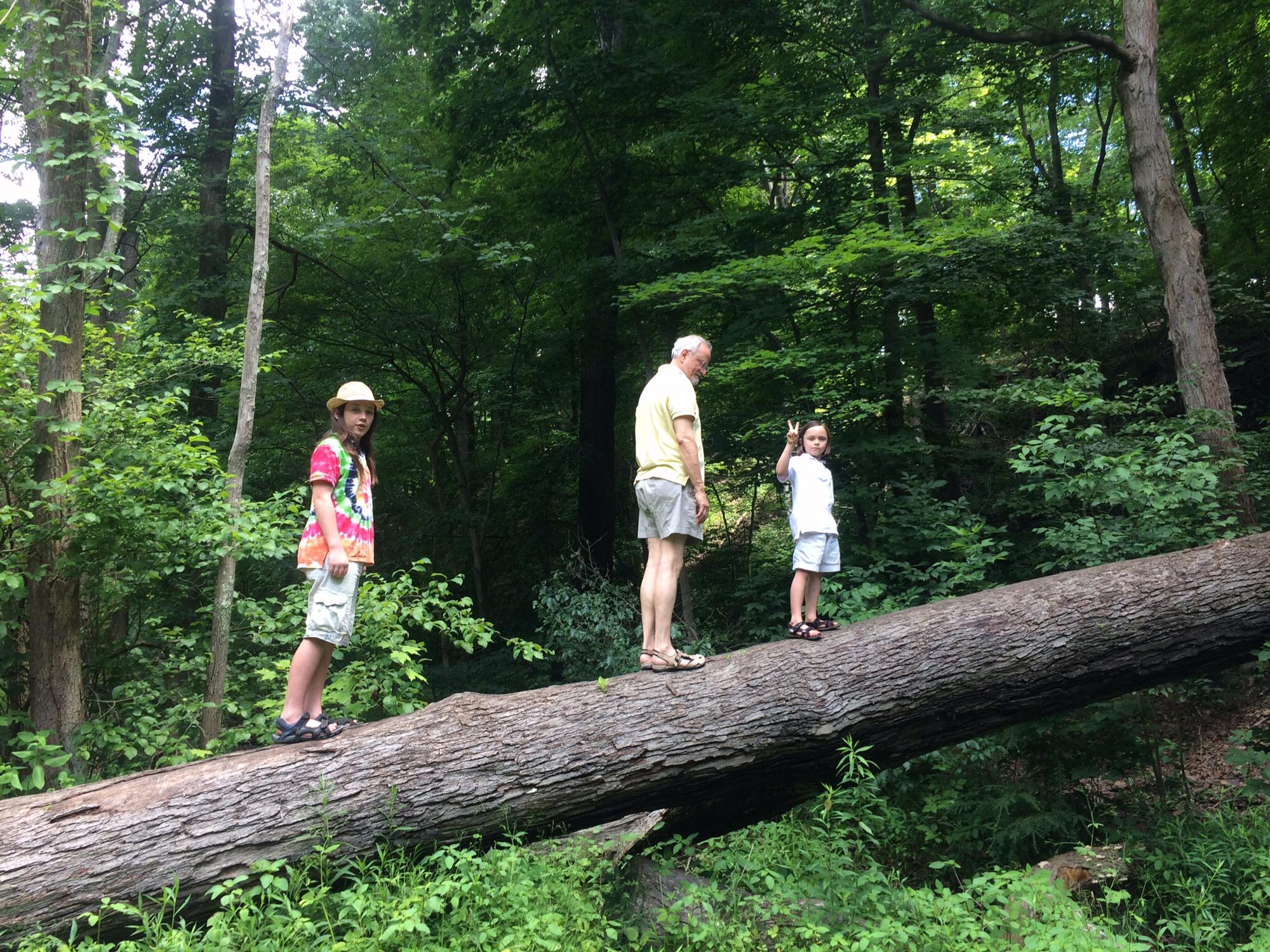 Frick Park, Pittsburgh