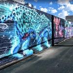Visit Roosevelt Row District