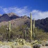 Sabino Canyon Recreation Area