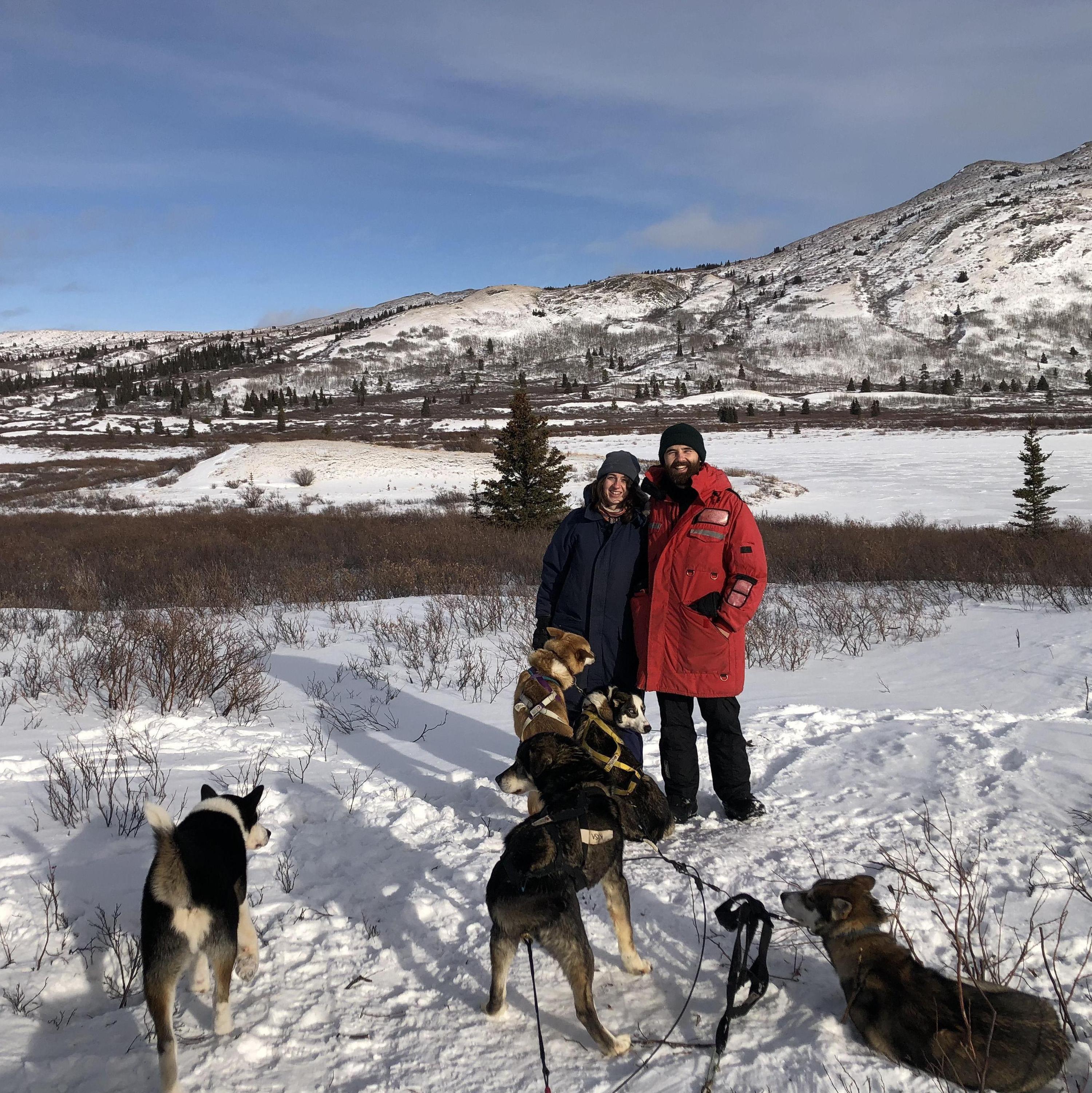 Dogsledding, Yukon, Canada
