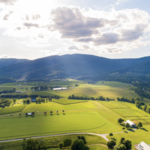 King Family Vineyards