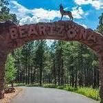 Bearizona Boulevard