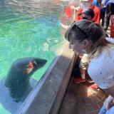 Seattle Aquarium