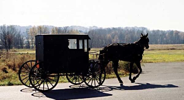The Wedding Website of Bethany Russell and William Stamm