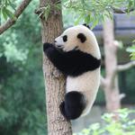 Smithsonian National Zoological Park
