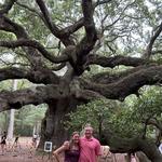 Angel Oak Tree