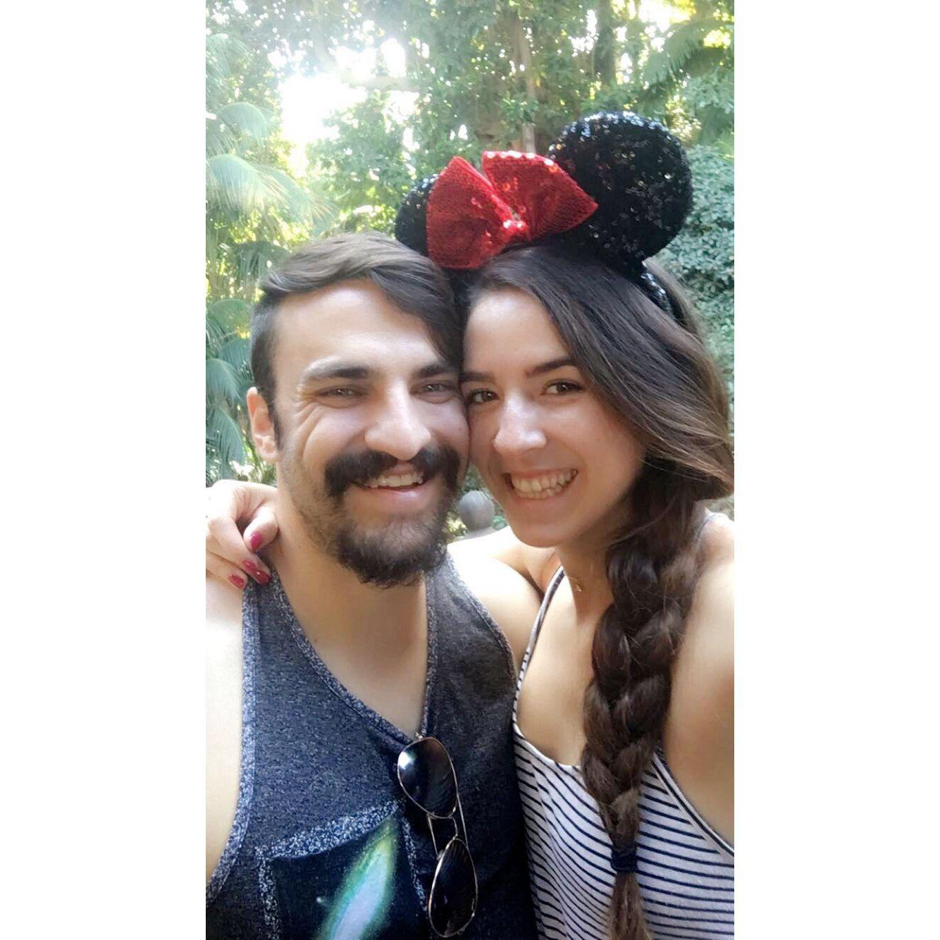 Disneyland 2017