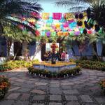 Borda Garden/Jardín Borda- (15–20 minutes away)