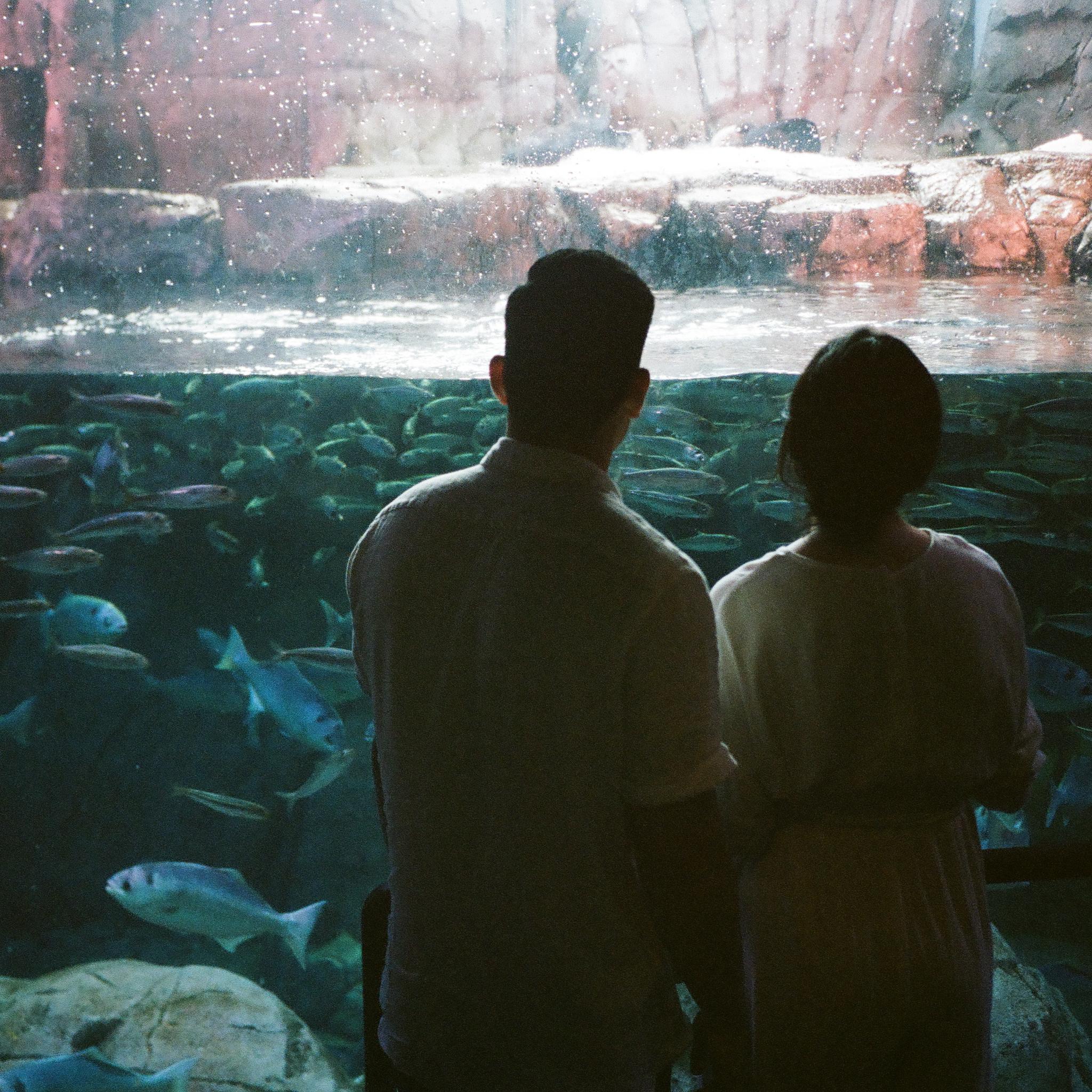 Our very first date was at the Aquarium of the Pacific!